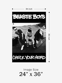 Beastie Boys / Check Your Head EUオリジ 美品 Beastie Boys - Check Your Head - Exclusive Limited Edition